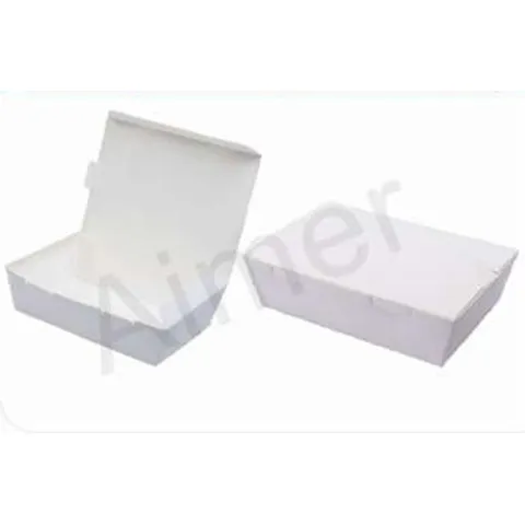 Paper Lunch Box
