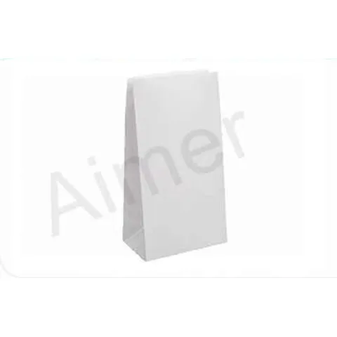 Paper Bag White