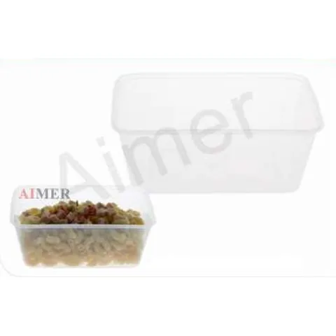 Container 1000