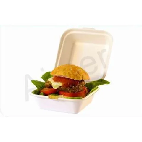 Bio Burger Box